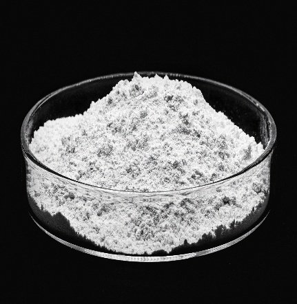 RIOBENT IC
